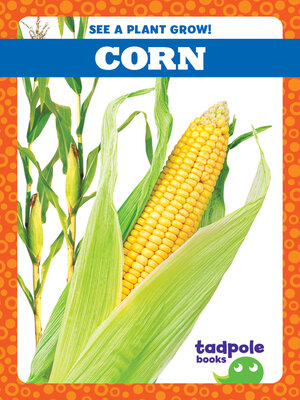 cover image of Corn